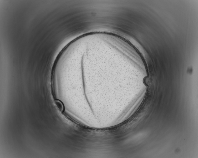 X0000101230951200807251131
