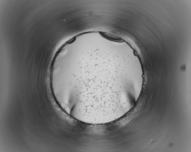 X0000101230952200807251131