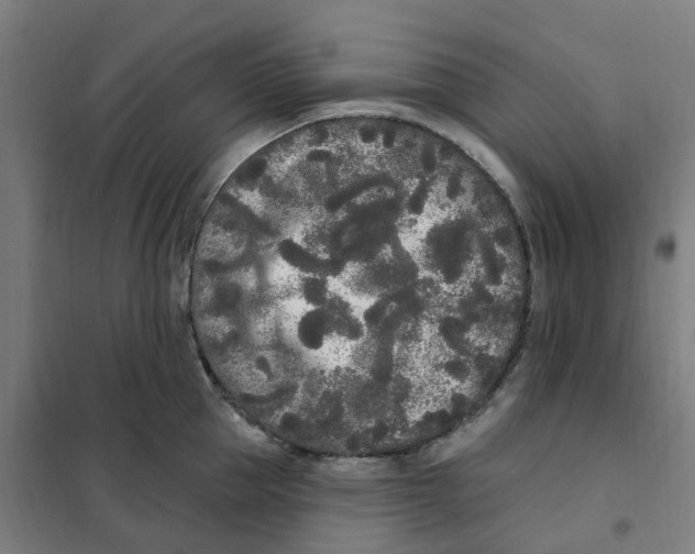 X0000101230953200807251131