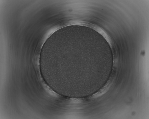 X0000101230954200807251131
