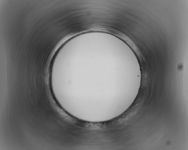 X0000101230955200807251131