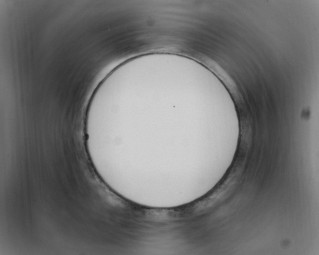 X0000101230956200807251131