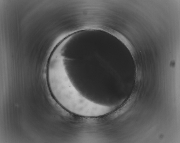 X0000101230958200807251131