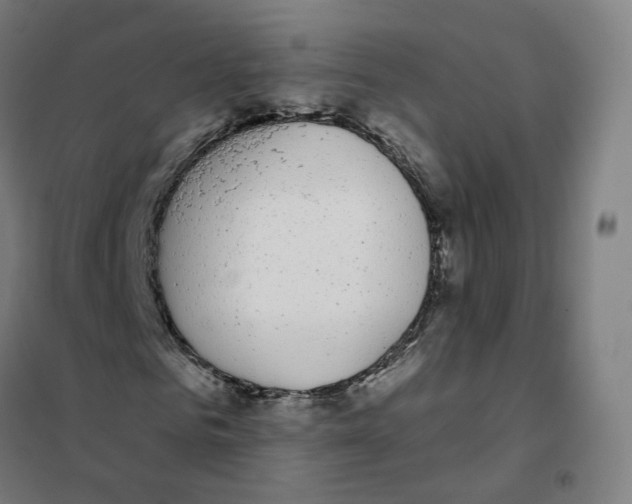 X0000101230961200807251130