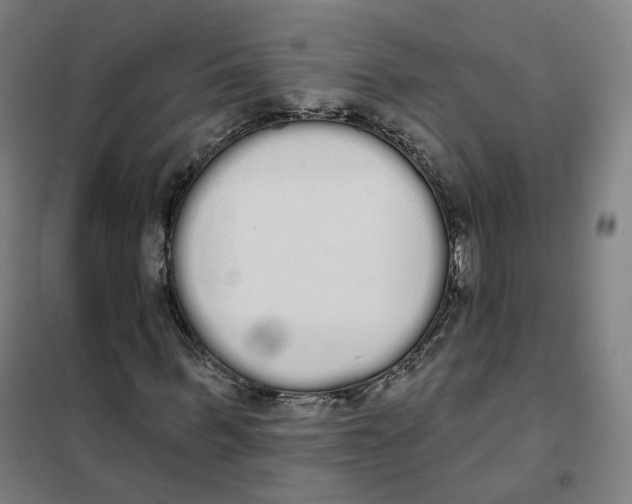 X0000101230963200807251130