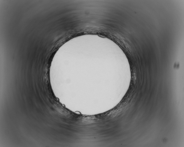 X0000101230964200807251130