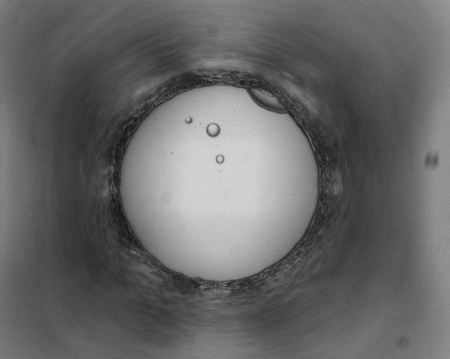 X0000101230965200807251130
