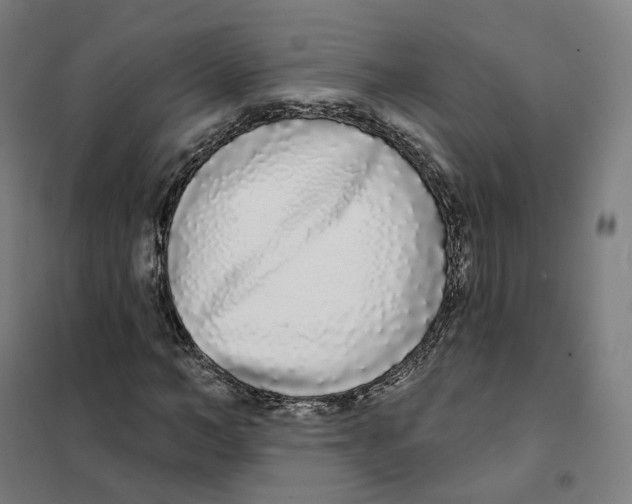 X0000101230966200807251130