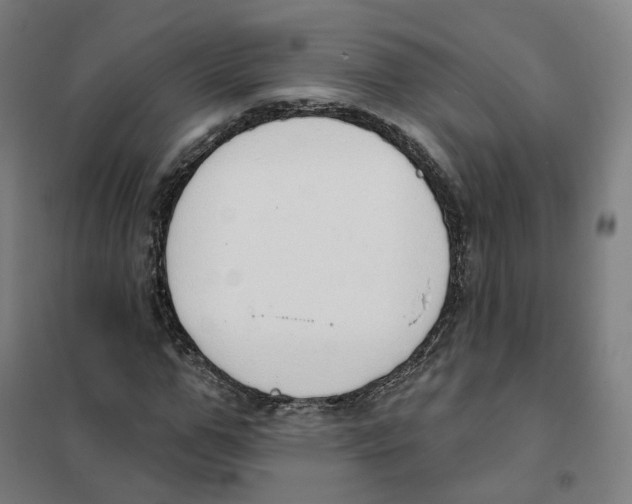 X0000101230967200807251130