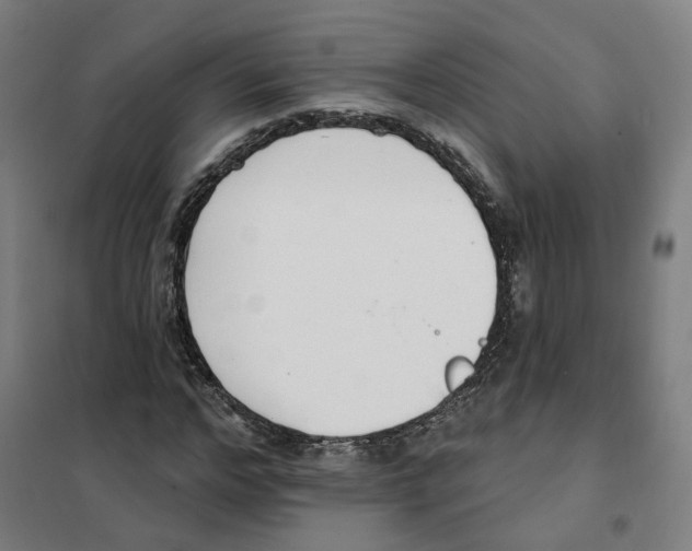 X0000101230968200807251130