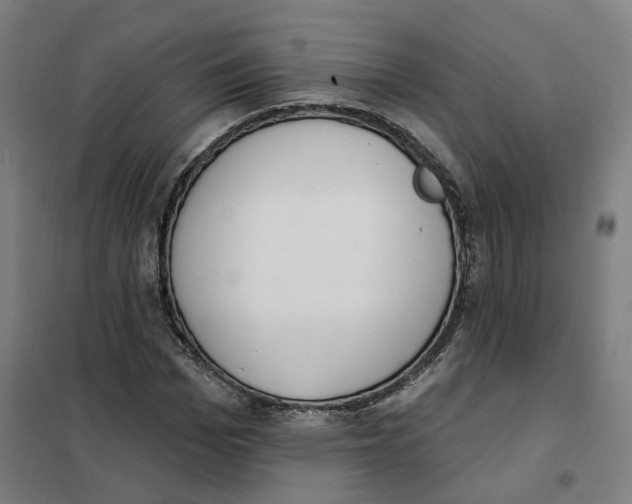 X0000101230969200807251130