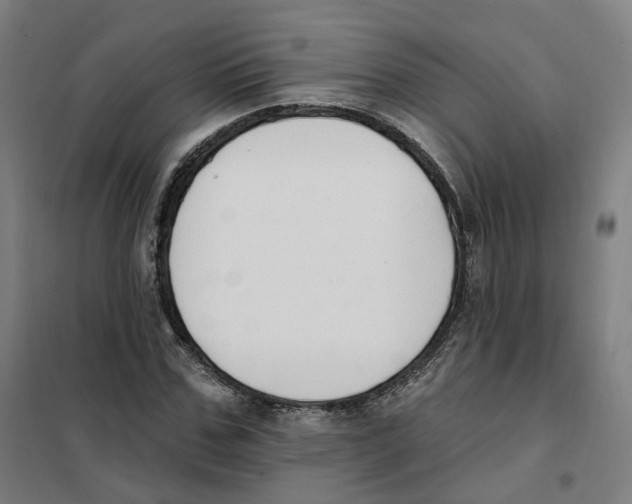 X0000101230971200807251130