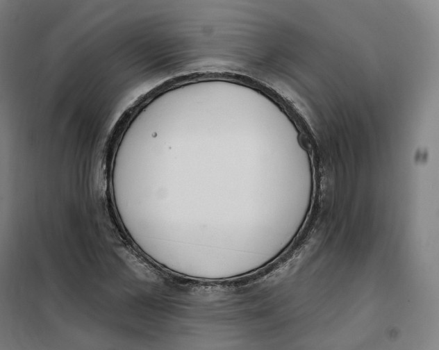 X0000101230973200807251130
