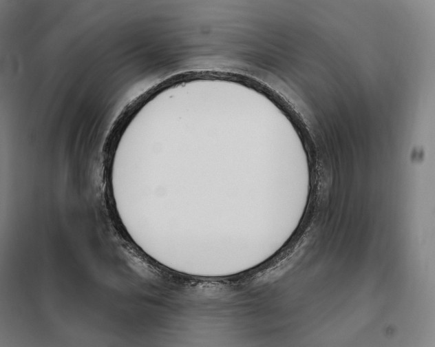 X0000101230974200807251130