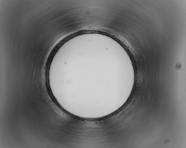 X0000101230976200807251130