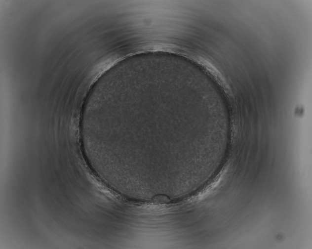 X0000101230977200807251130