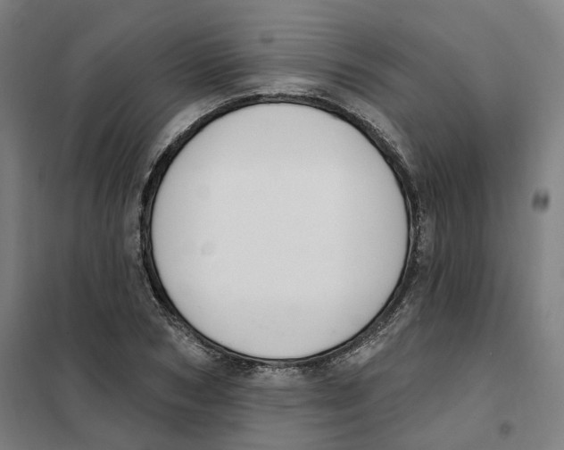 X0000101230978200807251130