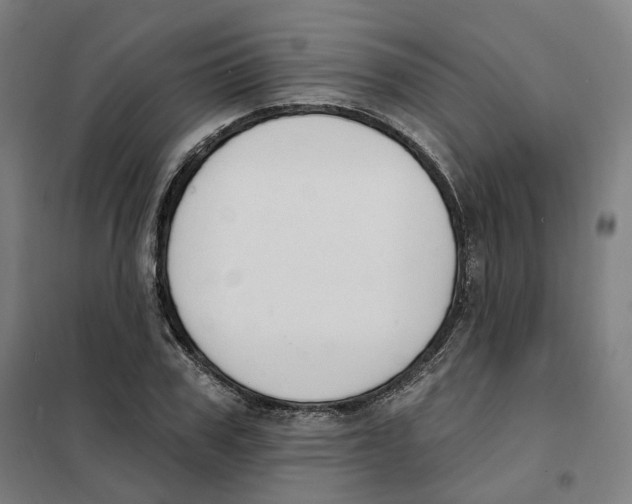 X0000101230979200807251130