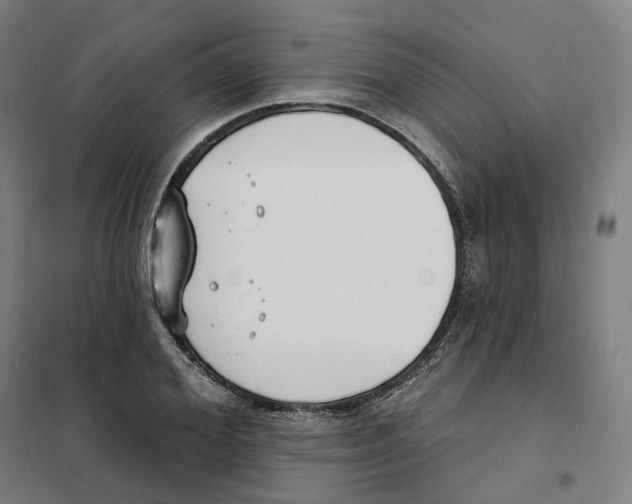 X0000101230980200807251130