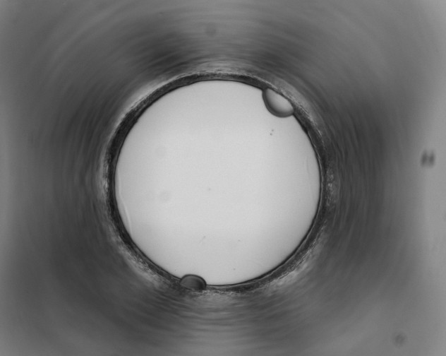 X0000101230981200807251130