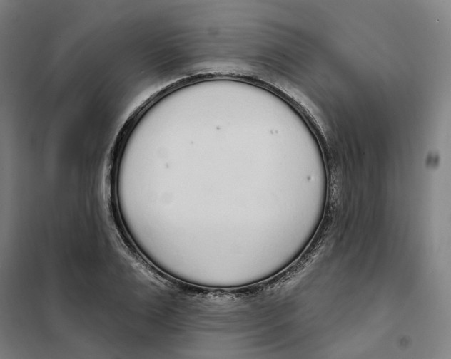 X0000101230983200807251130
