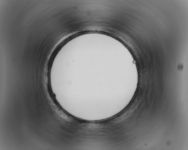 X0000101230984200807251130