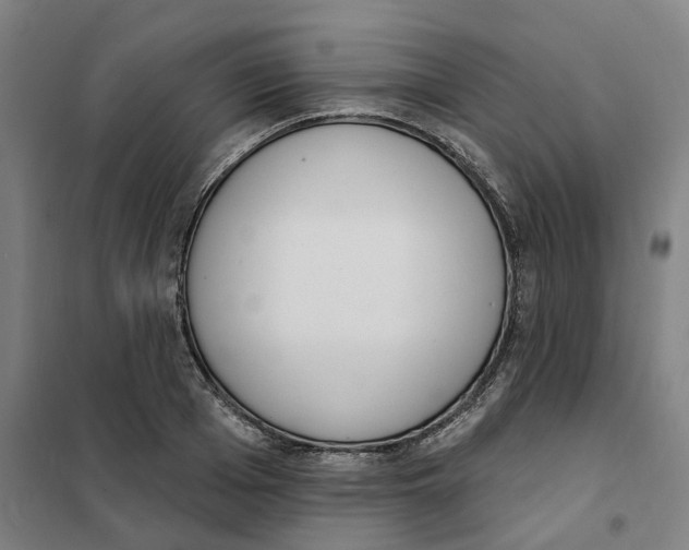 X0000101230985200807251130