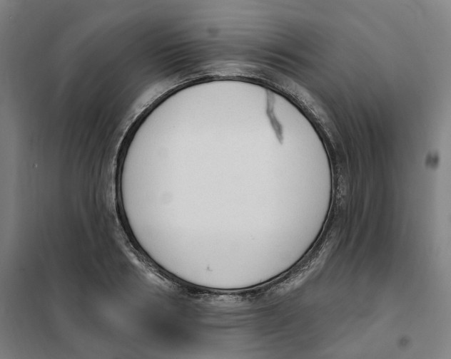 X0000101230986200807251130