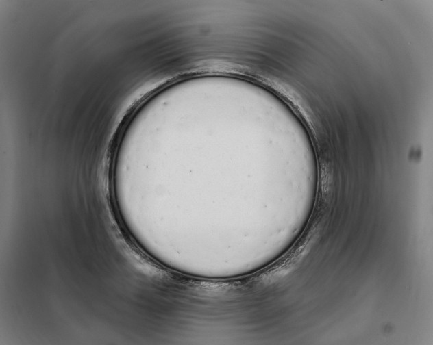 X0000101230987200807251130
