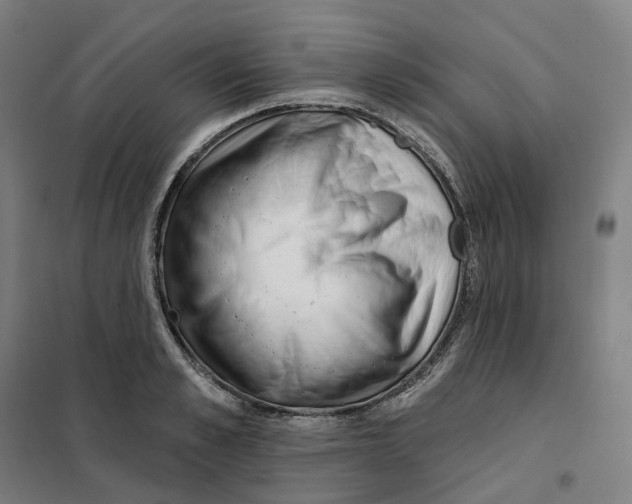 X0000101230989200807251130