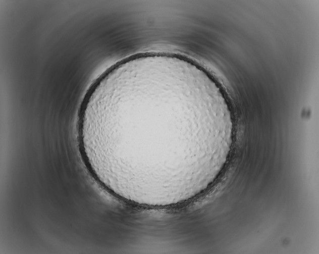 X0000101230990200807251130