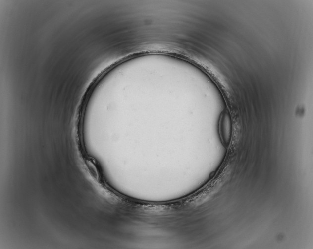 X0000101230991200807251130