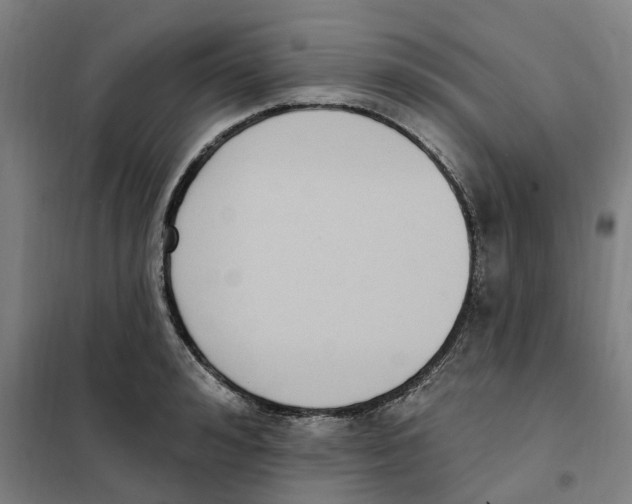 X0000101230992200807251130