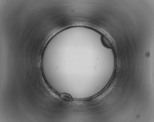 X0000101230993200807251130