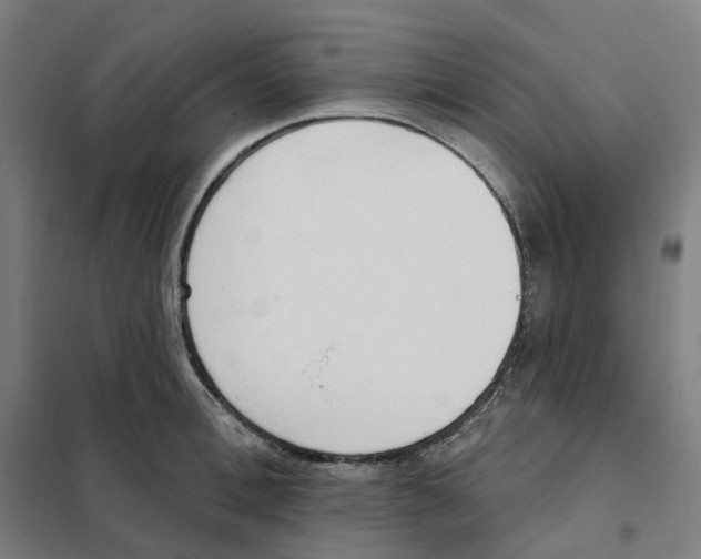 X0000101230996200807251130