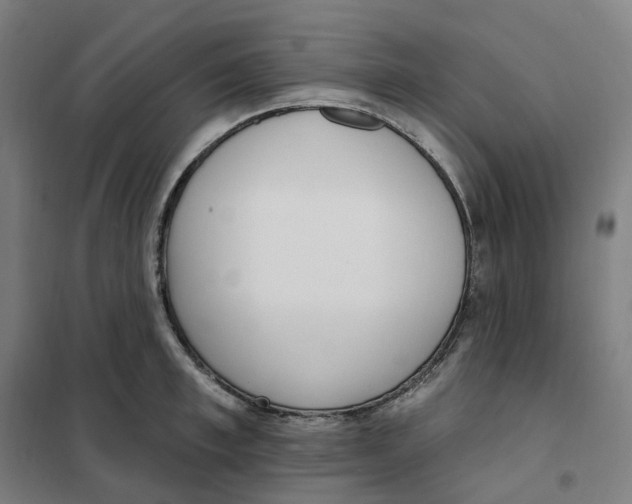 X0000101230997200807251130