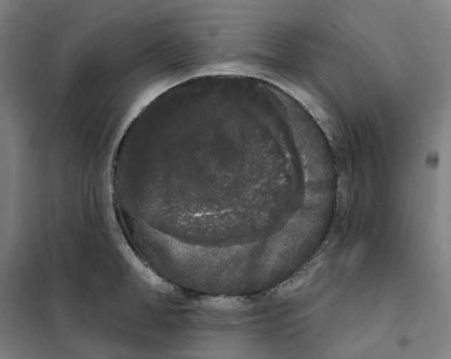 X0000101230998200807251130