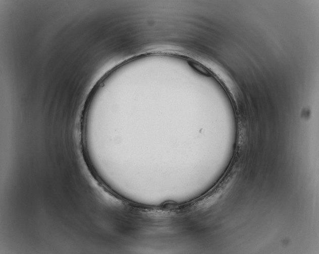 X0000101230999200807251130