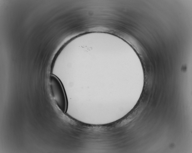 X0000101231000200807251130