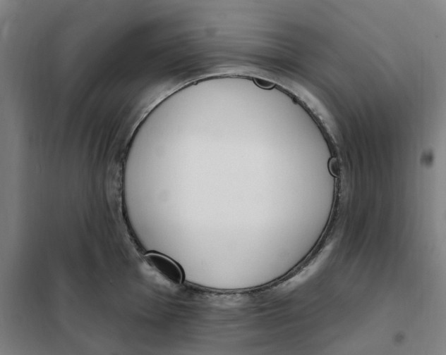 X0000101231001200807251130