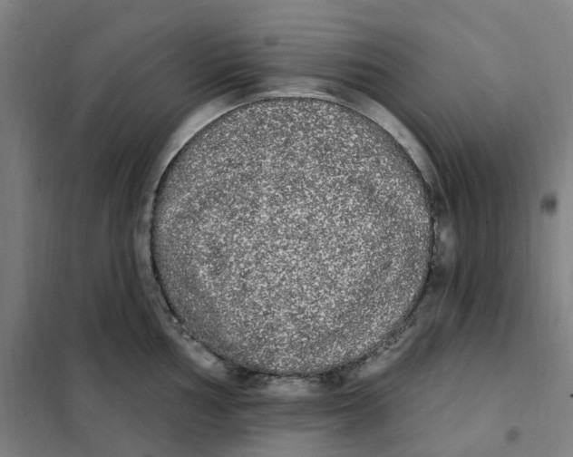 X0000101231002200807251130