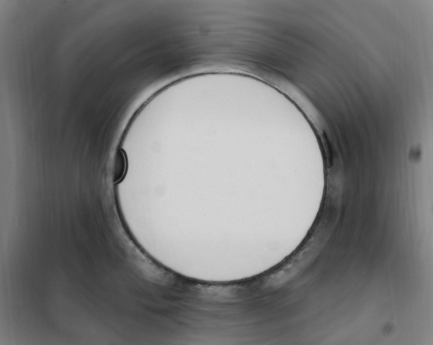 X0000101231004200807251130