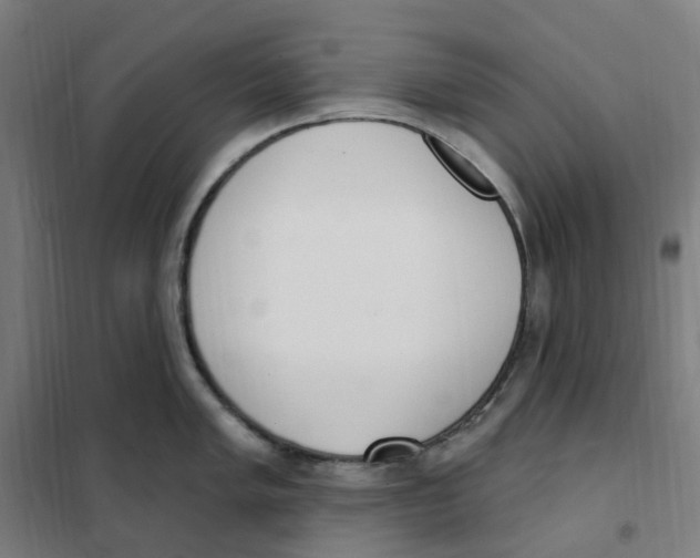 X0000101231005200807251130