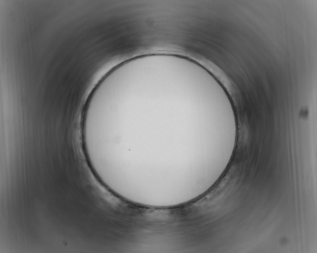 X0000101231006200807251130