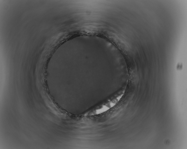 X0000101231009200807251129