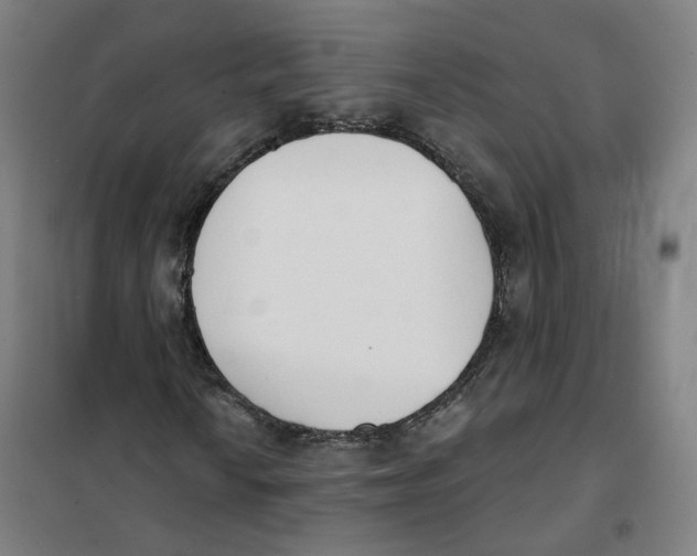 X0000101231010200807251129