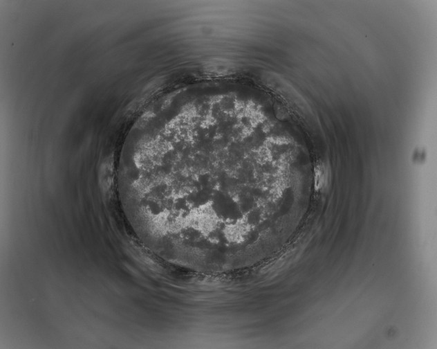 X0000101231011200807251129