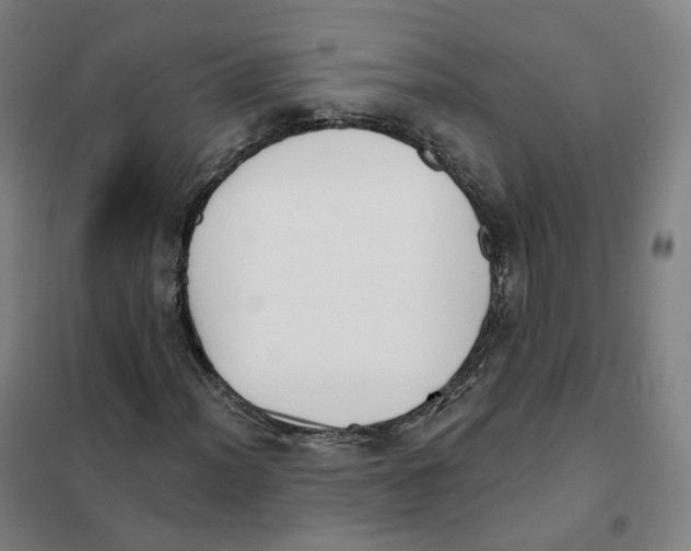X0000101231012200807251129
