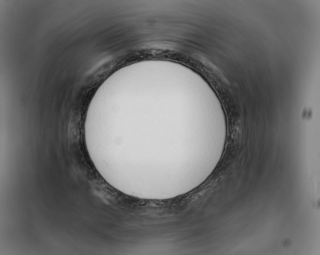 X0000101231014200807251129