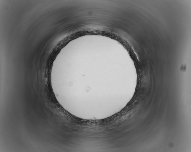 X0000101231016200807251129
